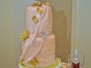 Dr. Sabrina's Wedding